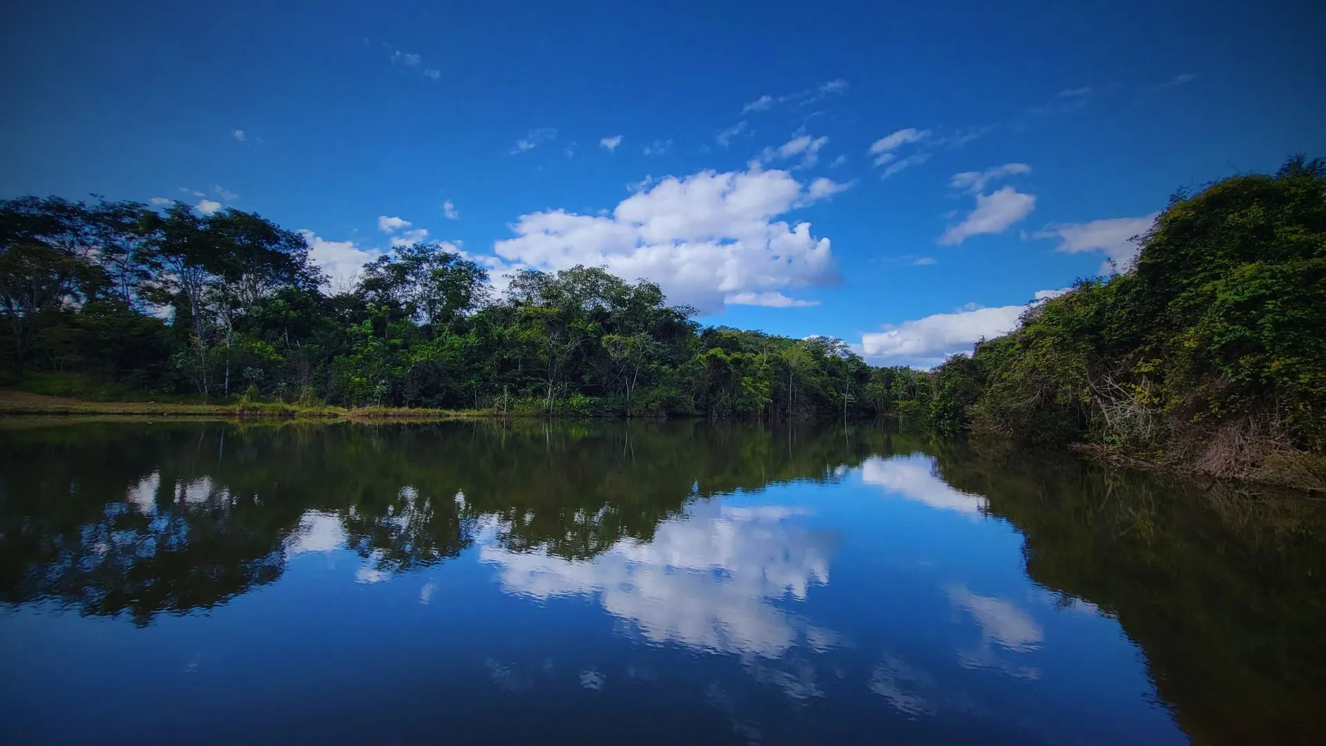 Sítio das Covas - Casa Branca